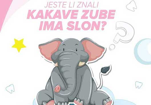 Znate li kakve zube ima slon?