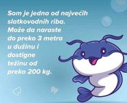som2