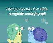puz2 puz2