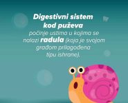 puz3 puz3