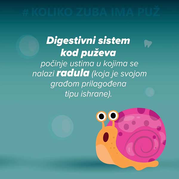 puz3