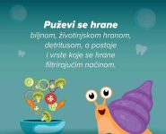 puz4 puz4