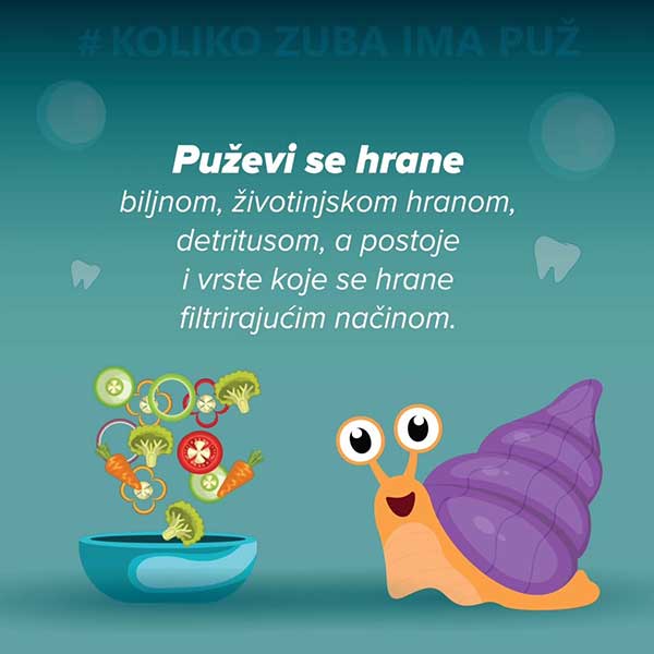 puz4