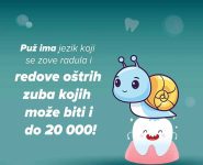 puz5 puz5