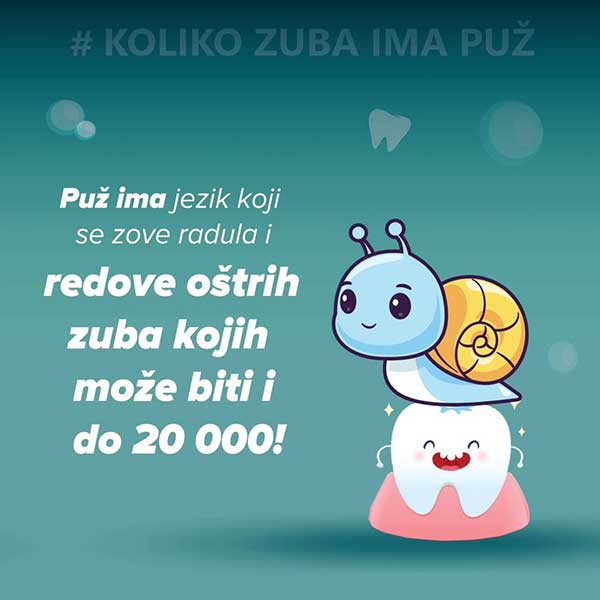 puz5