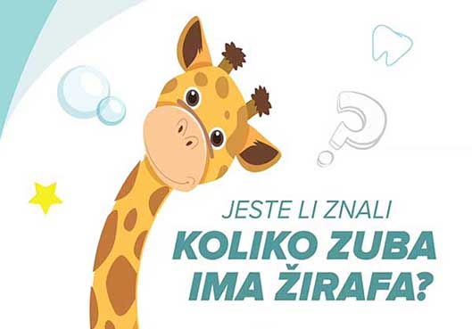 Koliko zuba ima žirafa?