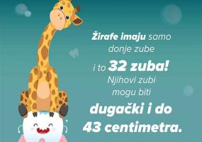 zirafa1