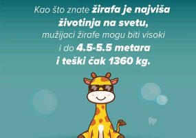 zirafa2