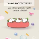 KakoSacuvatiZube